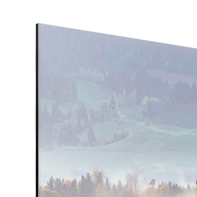 Quadro in alluminio - Misty Autumn Day Svizzera