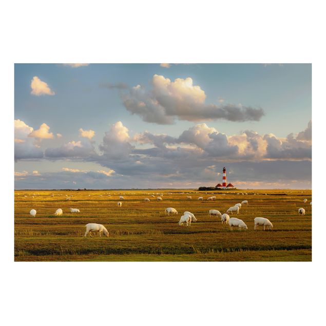 Quadro in alluminio - North Sea lighthouse with sheep flock