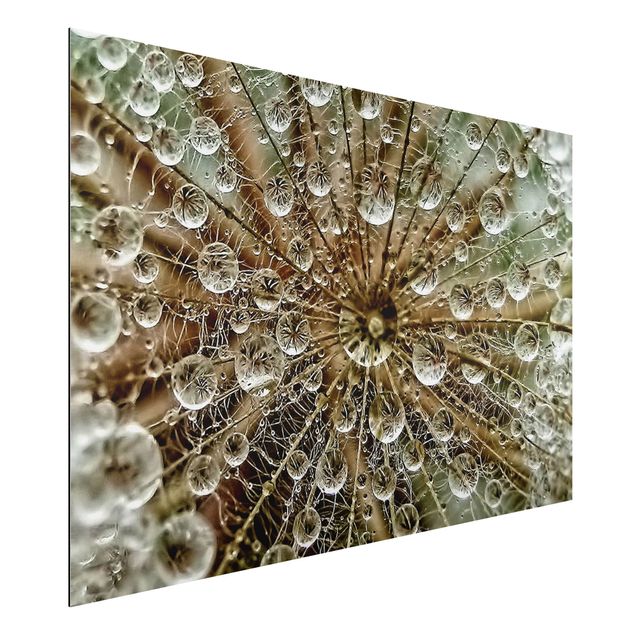 Quadro in alluminio - Dandelion In Autumn