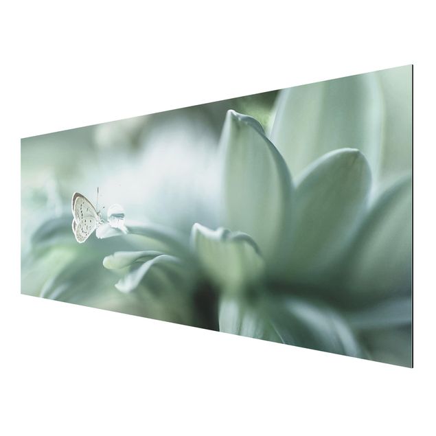 Quadro in alluminio - Farfalla E Gocce di rugiada In Pastel Verde