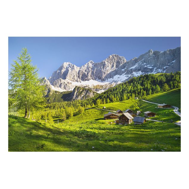 Quadro in alluminio - Styria Alpine meadow