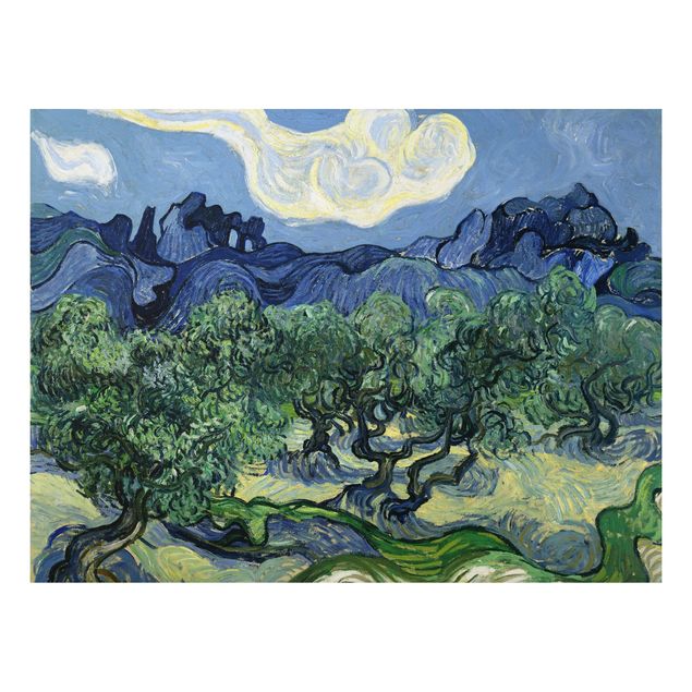 Quadro in alluminio - Vincent van Gogh - Gli Uliveti - Post-Impressionismo