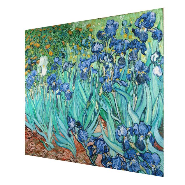 Quadro in alluminio - Vincent van Gogh - Iris - Post-Impressionismo