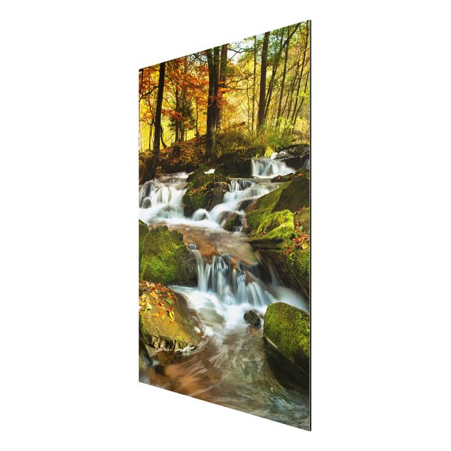 Quadro in alluminio - Waterfall autumnal forest