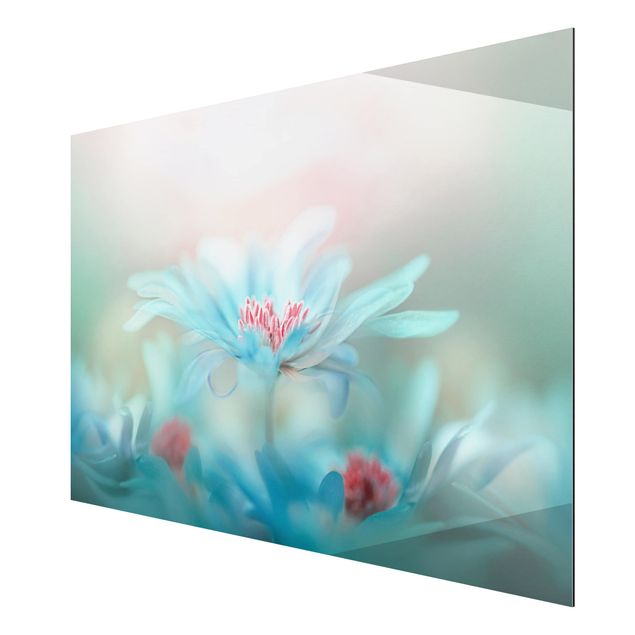 Quadro in alluminio - Delicate Flowers In Pastel
