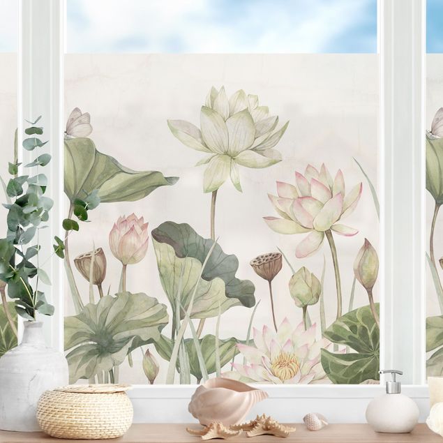 Pellicola per vetri per salone Ninfee eleganti e foglie delicate