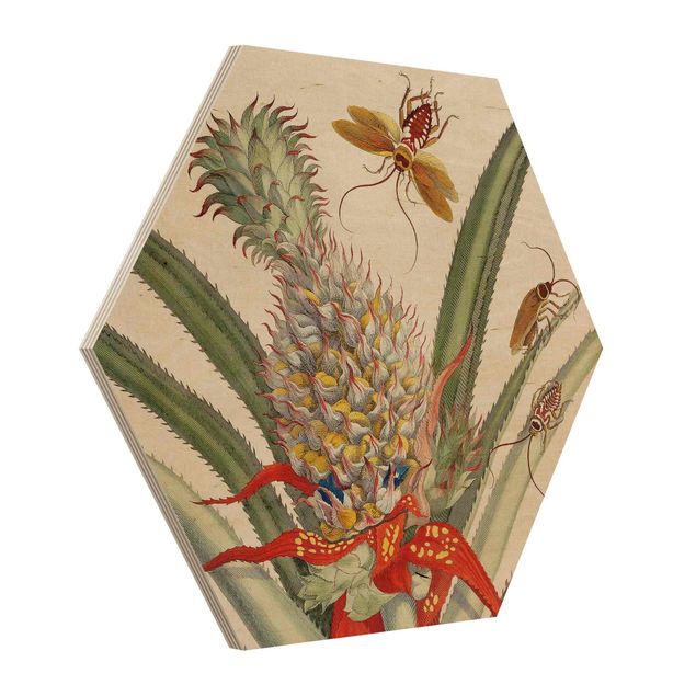 Esagono in legno - Anna Maria Sibylla Merian - Ananas con insetti
