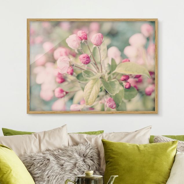 Poster con cornice - Fiori di melo in effetto Bokeh rosa