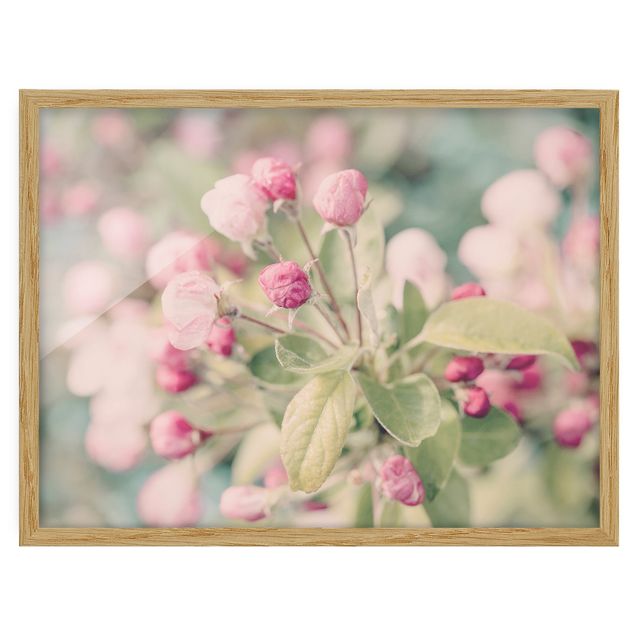 Poster con cornice - Fiori di melo in effetto Bokeh rosa