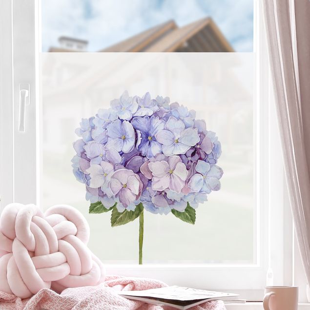 Pellicola per vetri con erbe Ortensia fiori blu in acquerello XXL