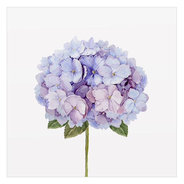 Decorazione per finestre - Ortensia fiori blu in acquerello XXL