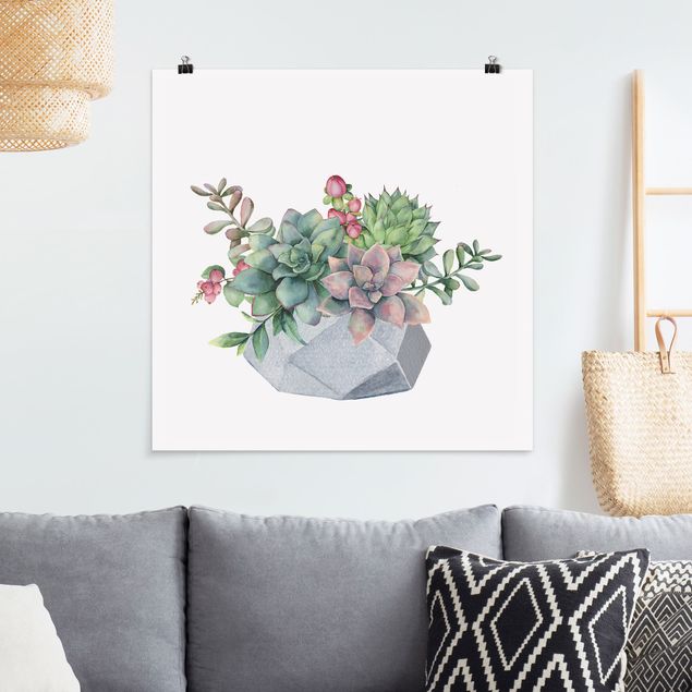 Poster illustrazioni Illustrazione di Succulente ad acquerello