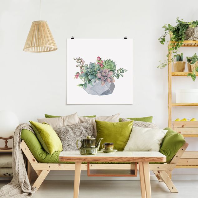 Poster acquerello Illustrazione di Succulente ad acquerello