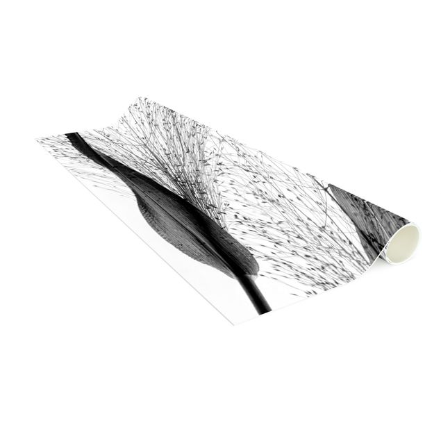 Tappeti floreali moderni Canna delicata con boccioli sottili in bianco e nero