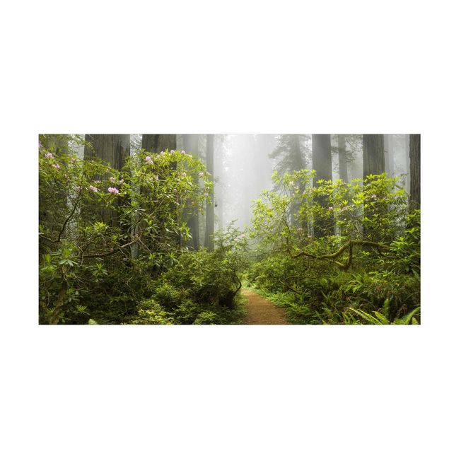 Tappeti verdi Sentiero della foresta nebbiosa