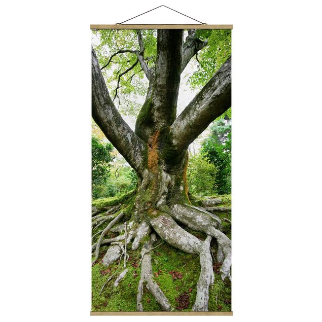 Quadro su tessuto con stecche per poster - vecchio albero - Verticale 2:1