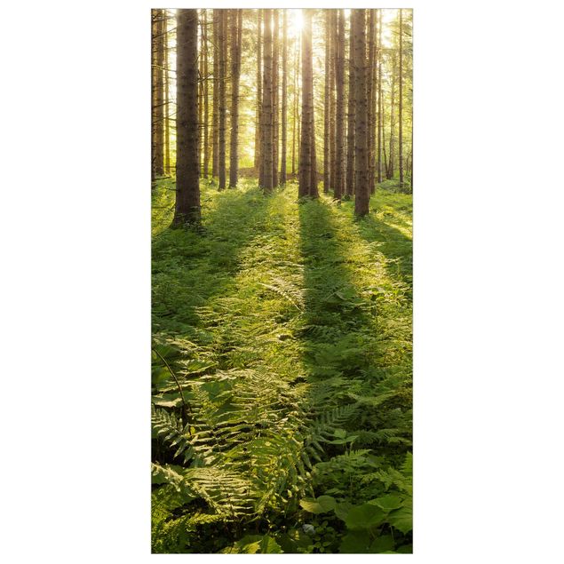 Tenda a pannello - Sunrays in a green forest 250x120cm