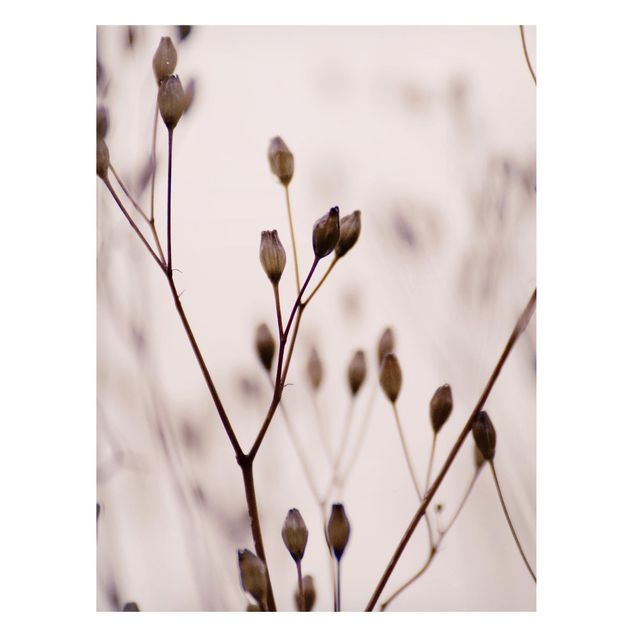 Lavagna magnetica - Gemme scure su ramo di fiori selvatici