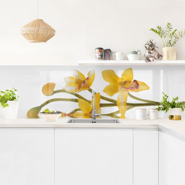 Rivestimenti cucina adesivi Acque di orchidee color zafferano