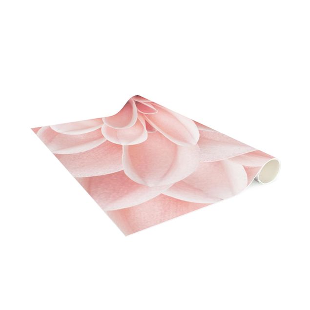 Tappeti floreali moderni Dettaglio dei petali rosa della Dalia