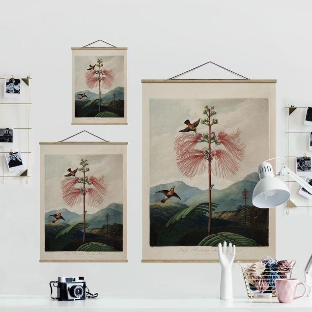 Foto su tessuto da parete con bastone - illustrazione d'epoca Botanica Fiore e colibrì - Verticale 4:3