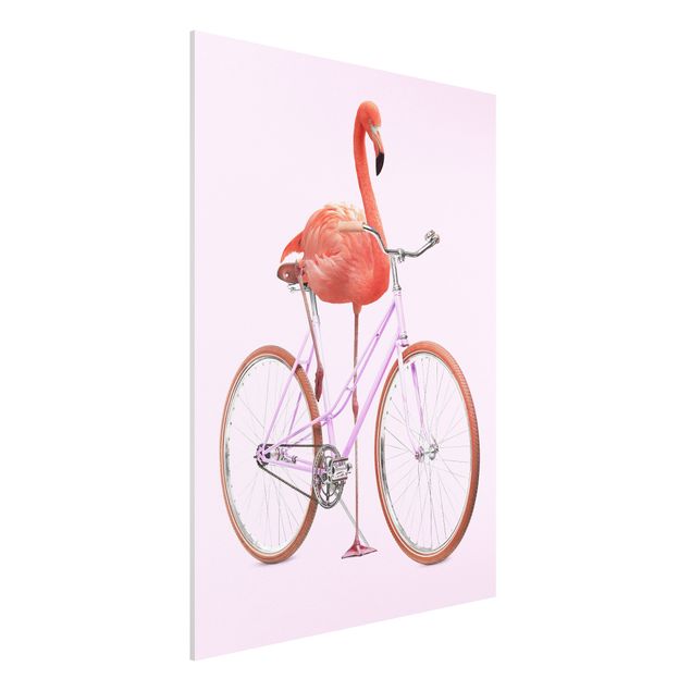 quadri con animali Fenicottero con bicicletta