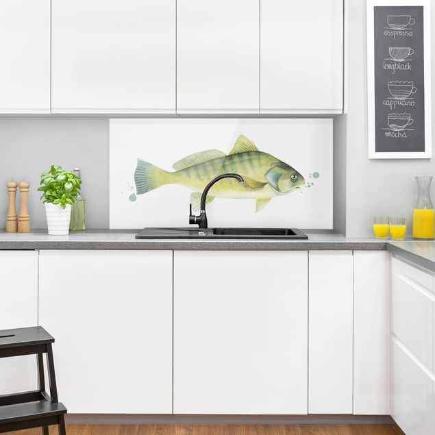 paraschizzi bianco cucina Colore Cattura - Pesce persico