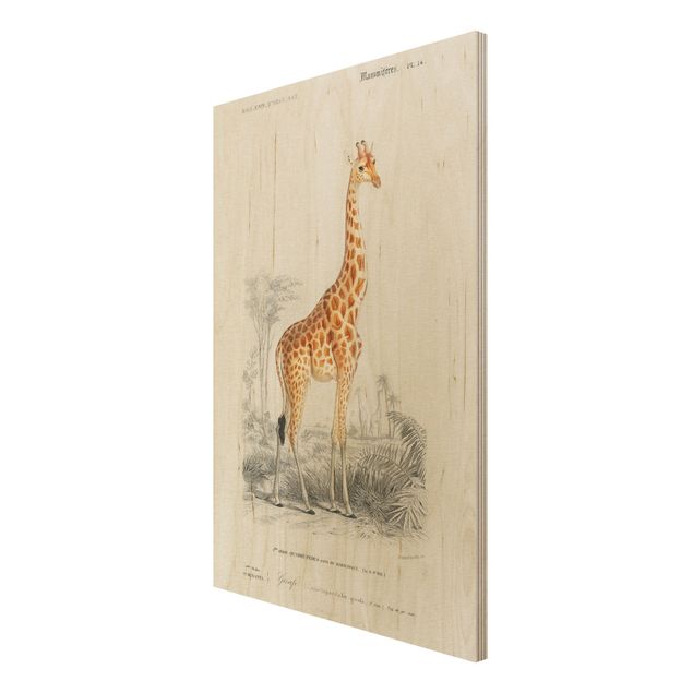 Stampa su legno - Vintage Consiglio Giraffe - Verticale 3:2