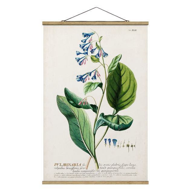 Foto su tessuto da parete con bastone - Vintage botanica Lungwort - Verticale 3:2