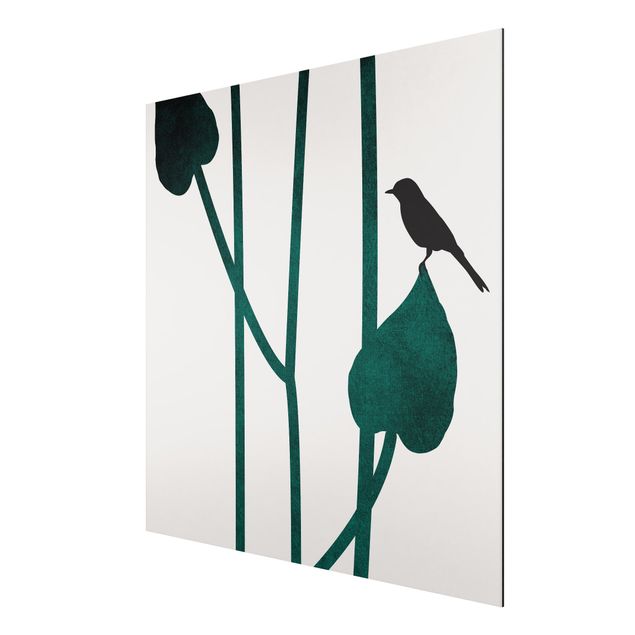Stampa su alluminio - Mondo vegetale grafico - Uccellino su una foglia - Quadrato 1:1