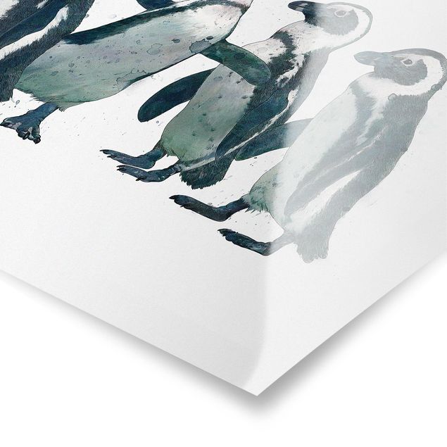Poster - Illustrazione Pinguini nero e acquerello bianco - Orizzontale 3:4