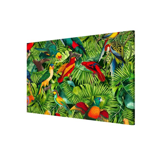 Lavagna magnetica - Colorato collage - Parrot In The Jungle - Formato orizzontale 3:2