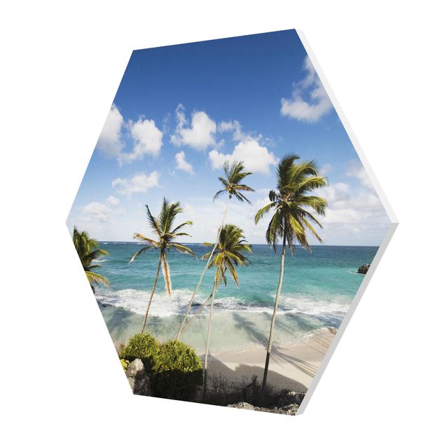 Esagono in forex - Spiaggia Di Barbados