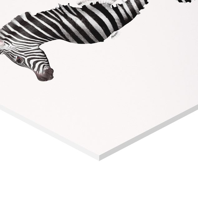 Esagono in forex - Seahorse Con Zebra Stripes