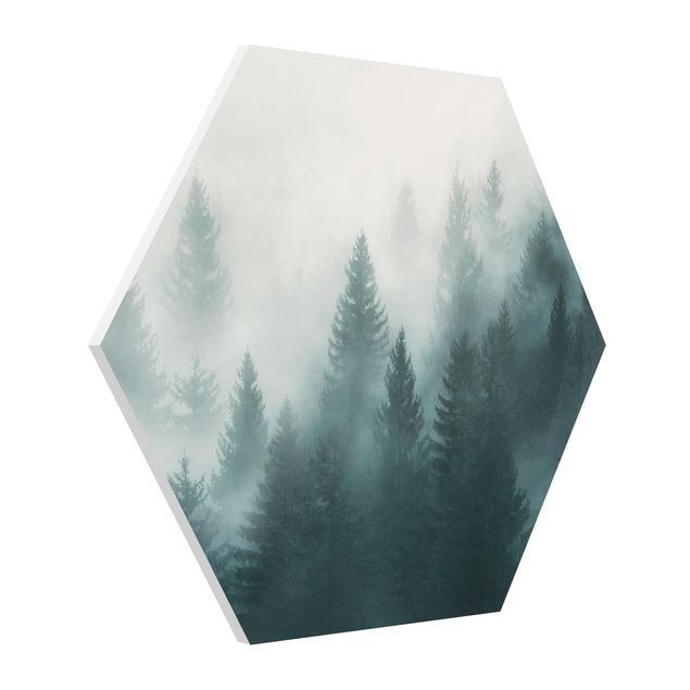 Esagono in forex - Foresta di conifere In Nebbia