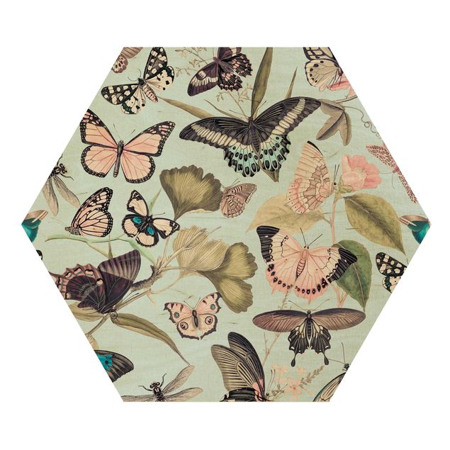 Esagono in legno - Vintage Collage - farfalle e libellule