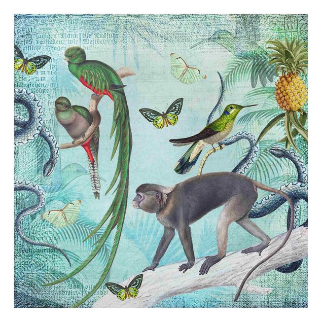 Paraschizzi in vetro - Colonial Style Collage - Monkeys And Birds Of Paradise