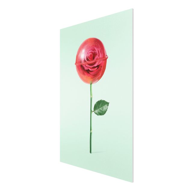 Stampa su Forex - Rose Con Il Lollipop - Verticale 3:2