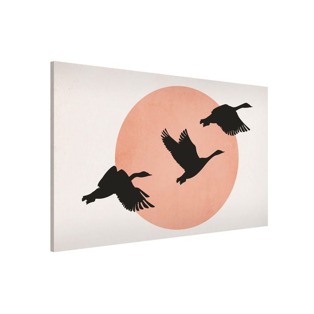 quadri con animali Uccelli di fronte al sole rosa III