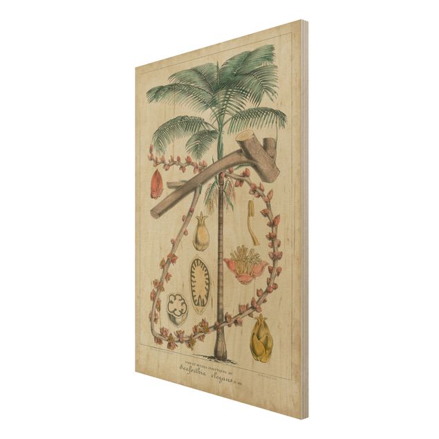 Stampa su legno - Consiglio Vintage Exotic Palms II - Verticale 3:2
