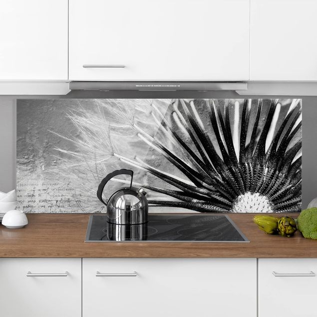 paraschizzi cucina vetro magnetico Soffione in bianco e nero