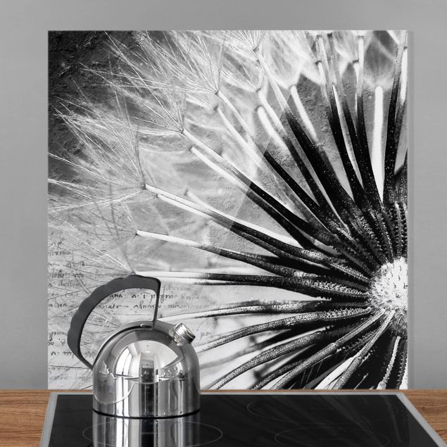 paraschizzi cucina vetro magnetico Soffione in bianco e nero