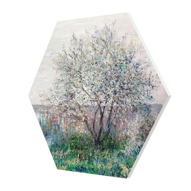 Esagono in forex - Claude Monet - Primavera Mood