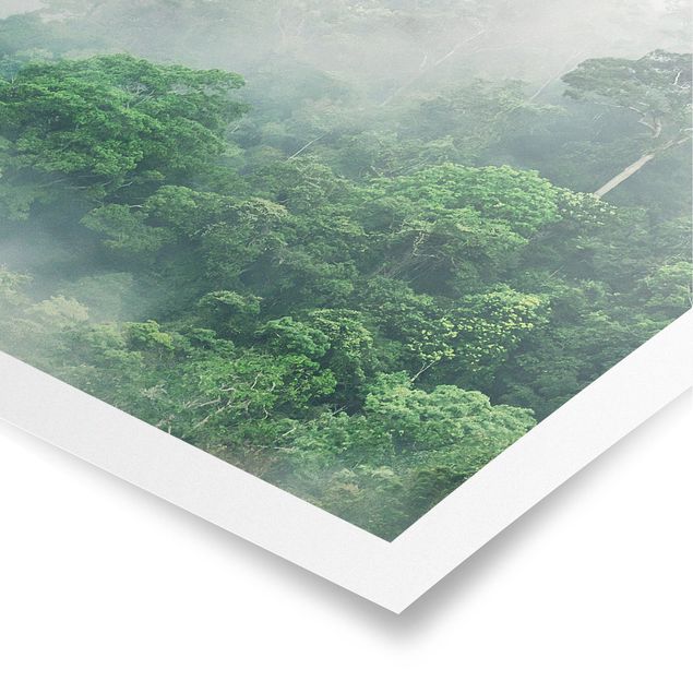 Poster - Jungle Nella Nebbia - Quadrato 1:1