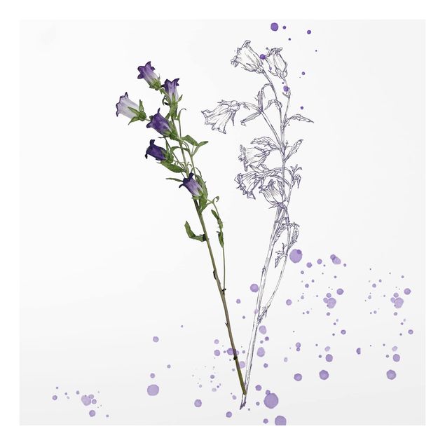 Paraschizzi in vetro - Botanical Watercolor - Bellflower