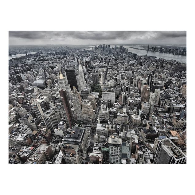Paraschizzi in vetro - View Over Manhattan