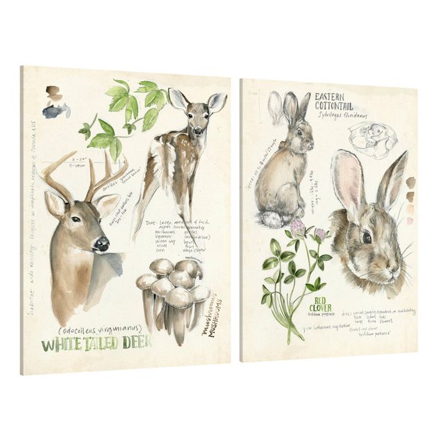 Frasi su tela Diario della natura selvaggia - Cervi e conigli Set II