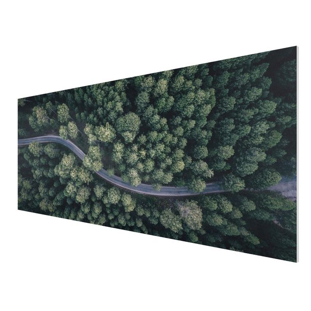 Quadro in forex - Veduta aerea - Forest Road From The Top - Panoramico