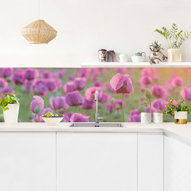 pannello adesivo per cucina Prato di papaveri viola in primavera