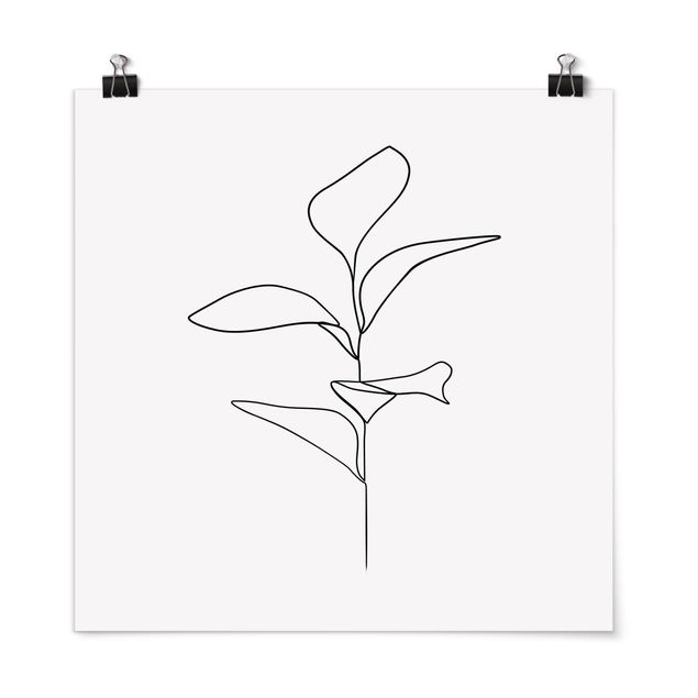 Poster - Line Art foglie delle piante Bianco e nero - Quadrato 1:1